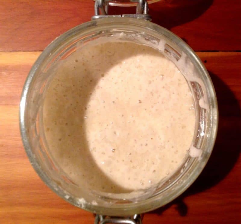 how to make sourdough starter