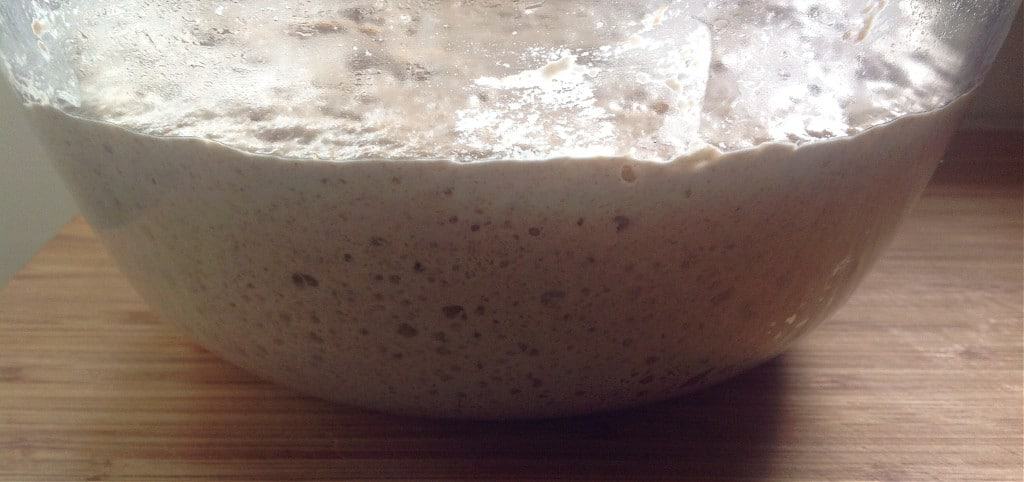 no knead sourdough bread bubbles