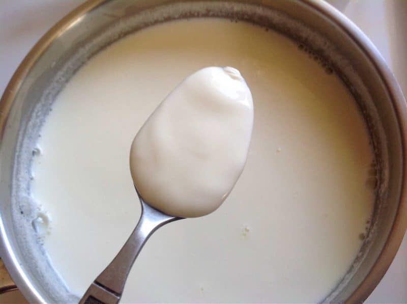 how to make yogurt