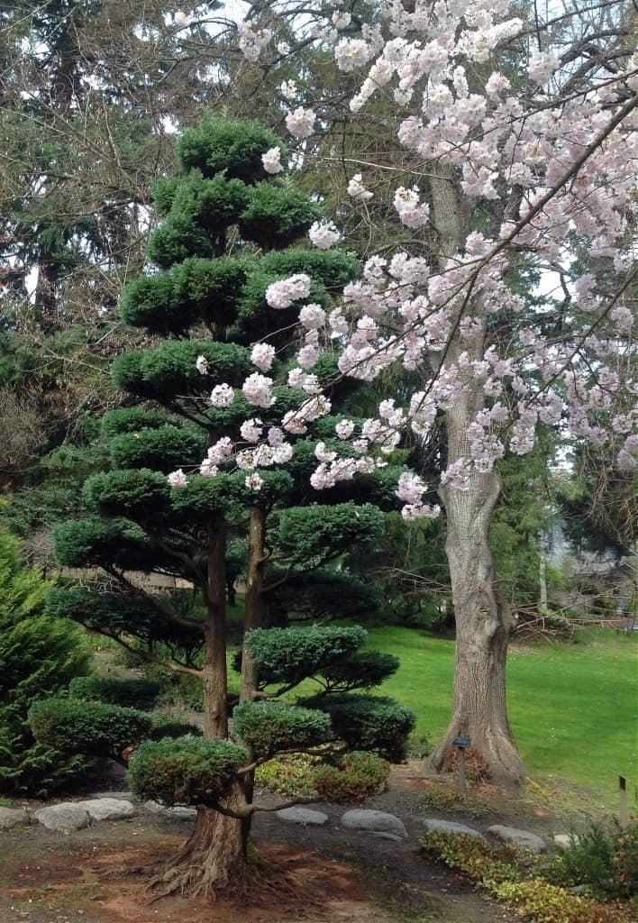 lithia park