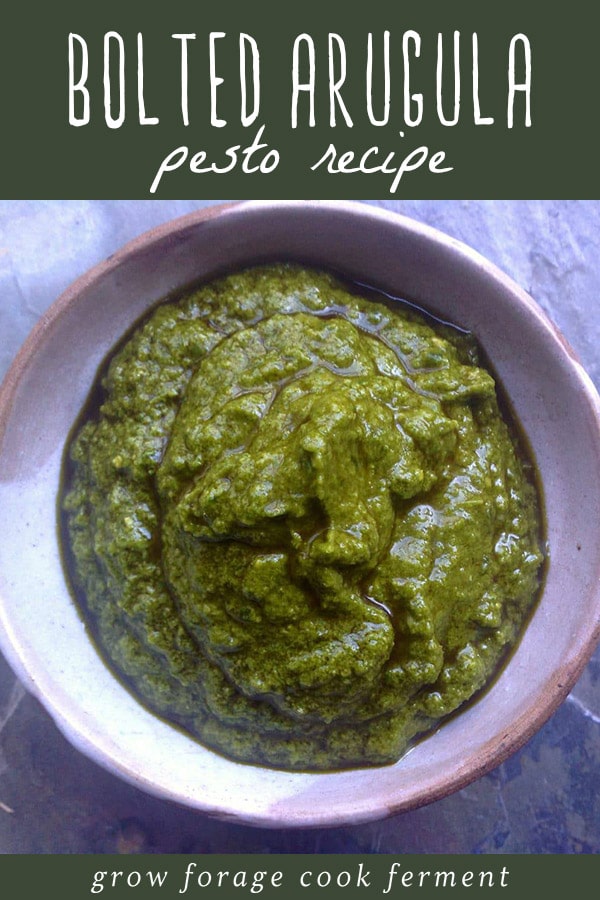 A bowl of homemade bolted arugula pesto.