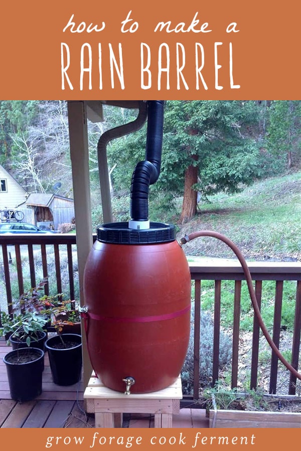 Homemade rain barrel connected to a gutter.