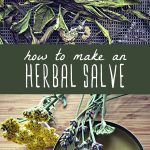 Dried herbs on a drying rack, and a tin of homemade herbal salve.