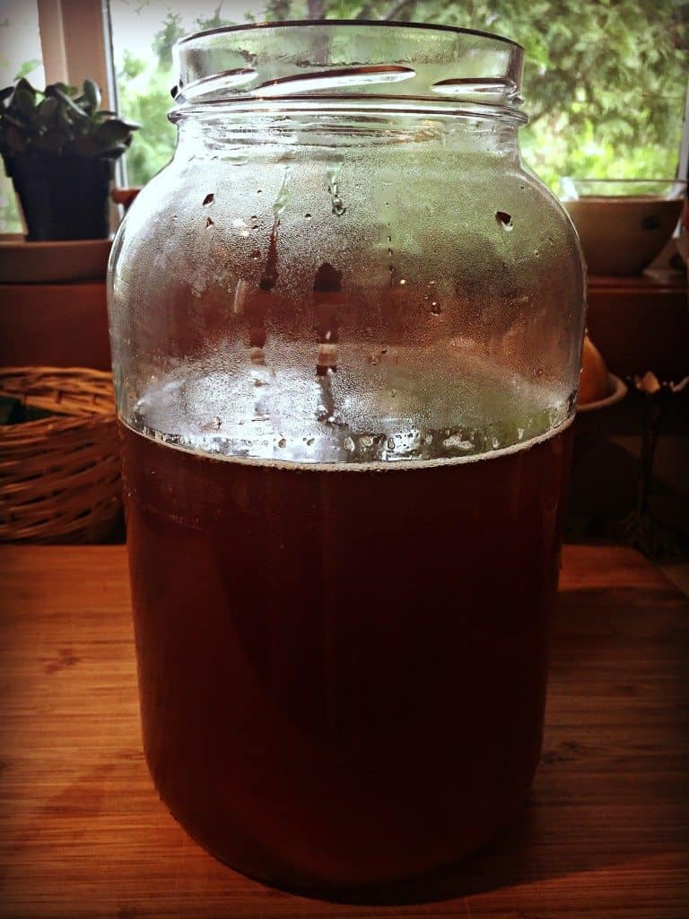 brewing kombucha