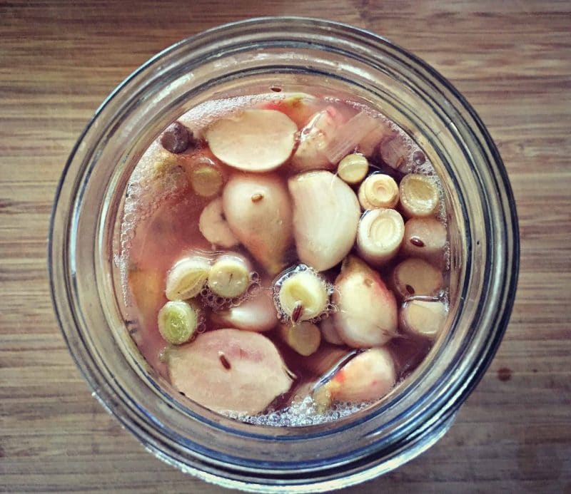 fermented cattails in a quart mason jar