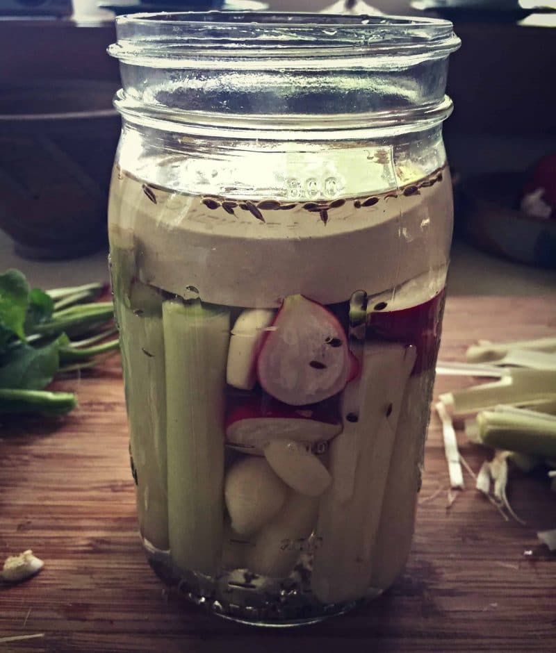 cattail shoots and radishes fermenting in a jar