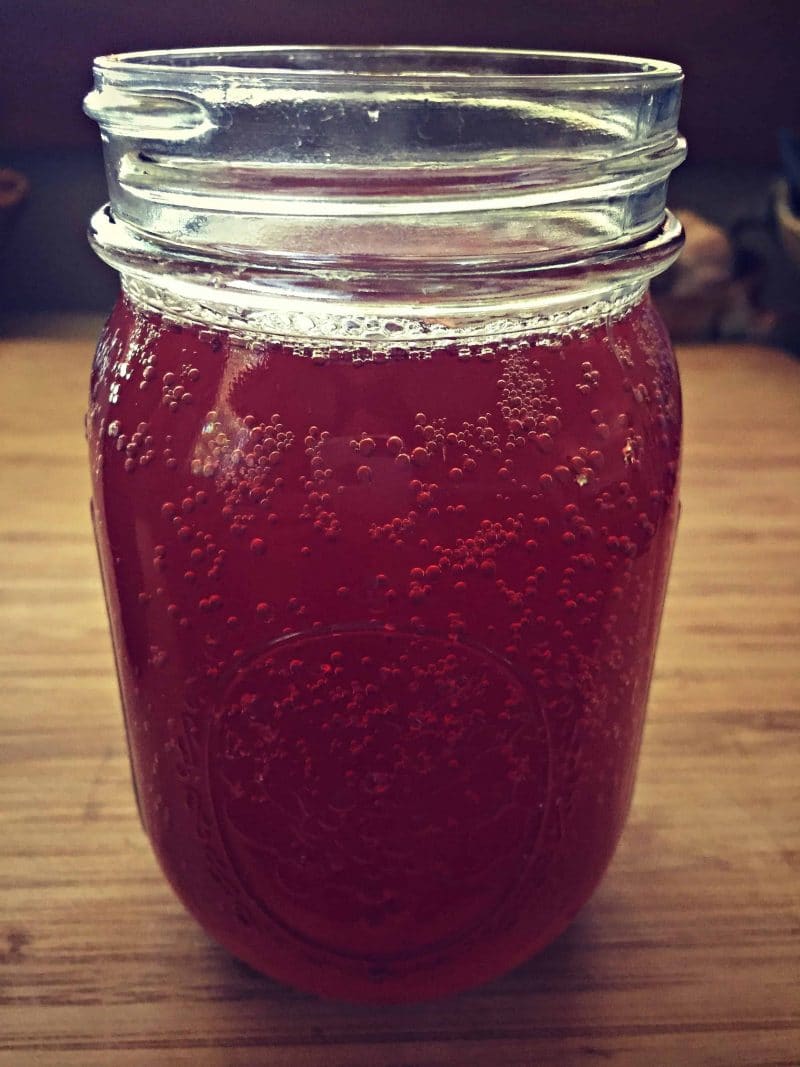 hibiscus kombucha