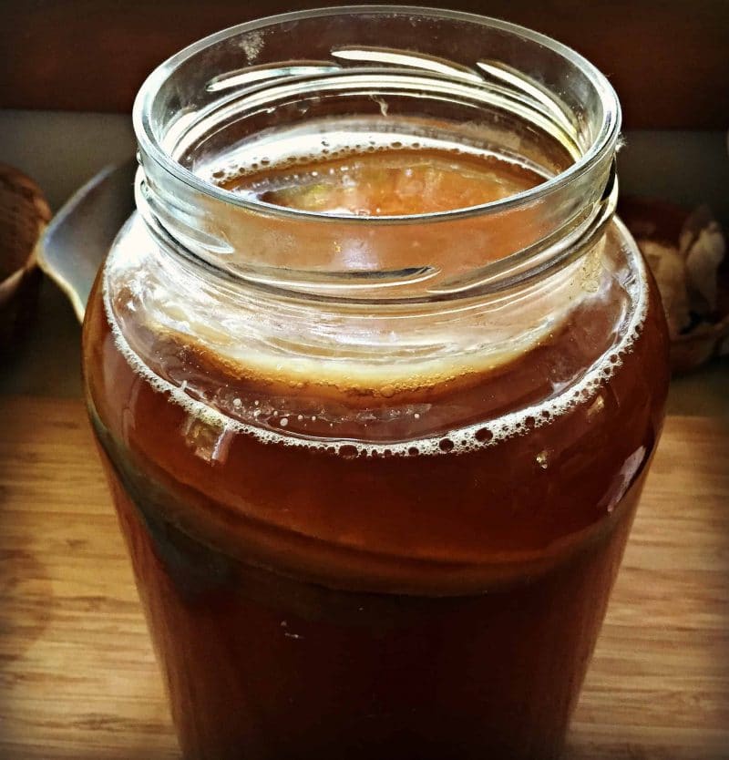 kombucha scoby baby