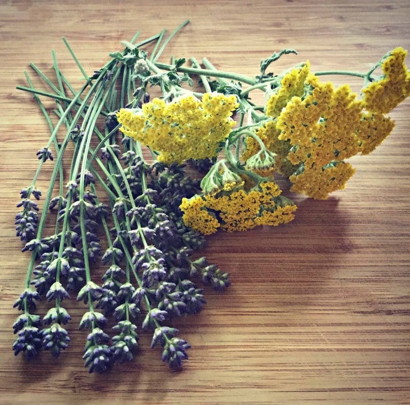 lavender and yarrow on a board