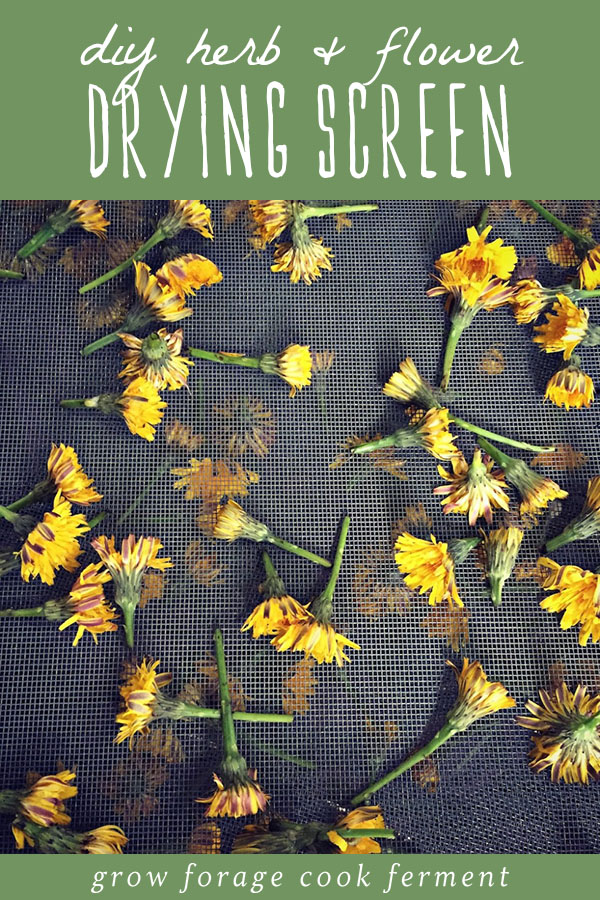 Foraged flowers on a diy herb and flower drying screen.