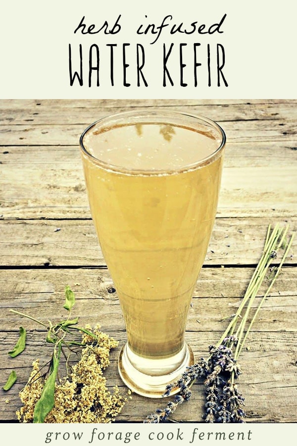 A glass of herbal kefir water on a wood table with fresh herbs.