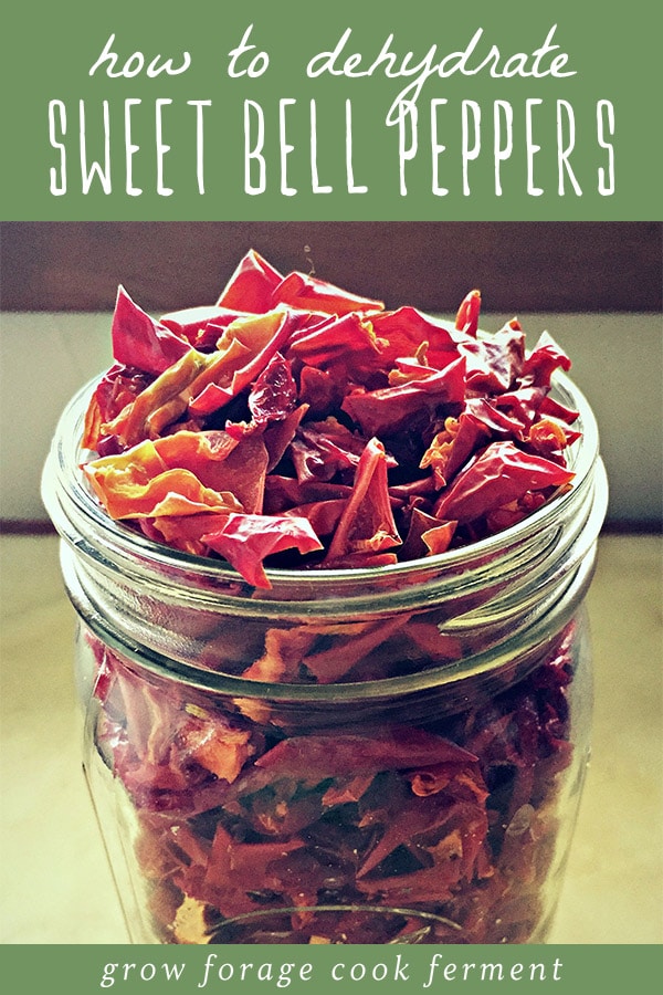 A glass jar of dehydrated bell peppers for food storage.