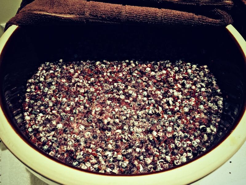 bubbling elderberries in a crock