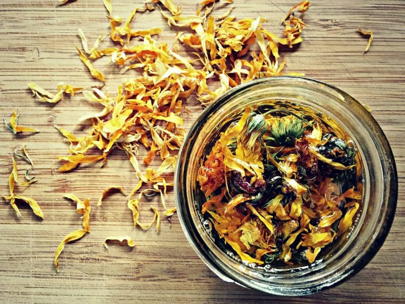 a jar of calendula infused oil