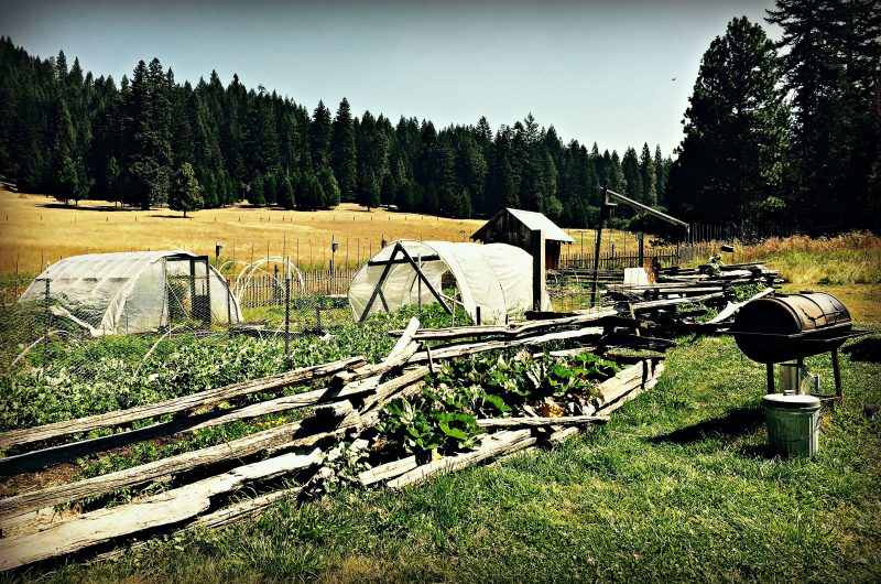 greenhouses