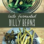 Lacto fermented dilly beans in a jar, and a serving of fermented green beans on a plate.