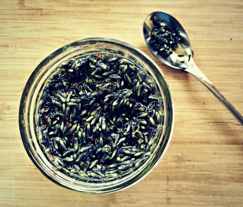 making lavender infused oil