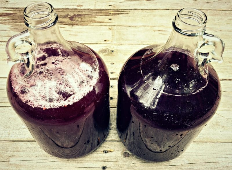 two gallons of racked elderberry mead