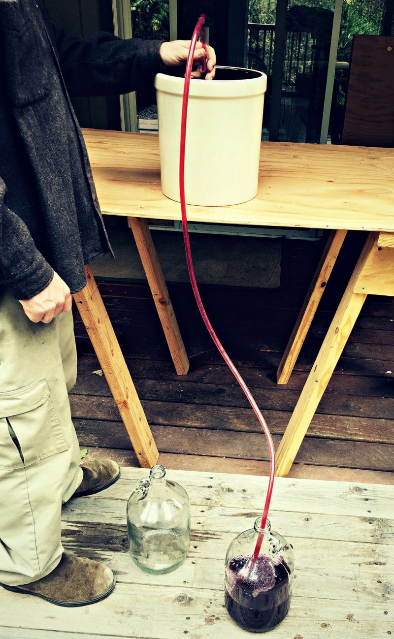 using an auto siphon to rack the mead from the crock to a jug