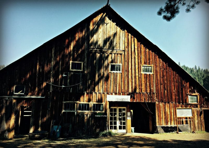 willow witt barn