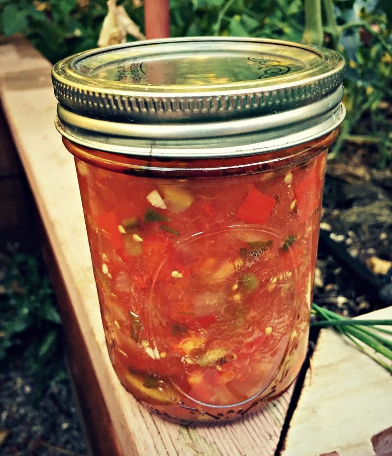 canned salsa