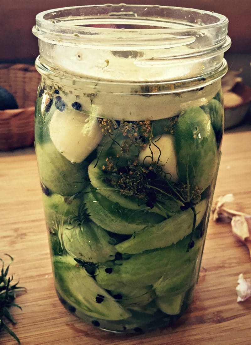 green tomatoes submerged under brine