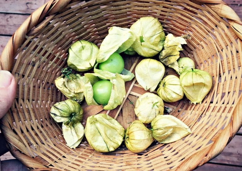 basket of tomatillos