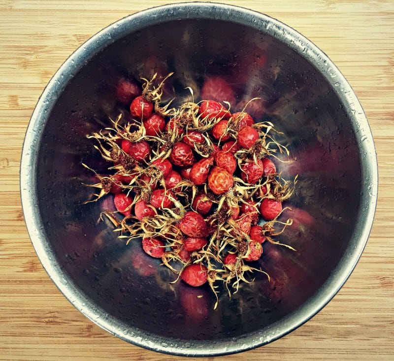 bowl of foraged rose hips