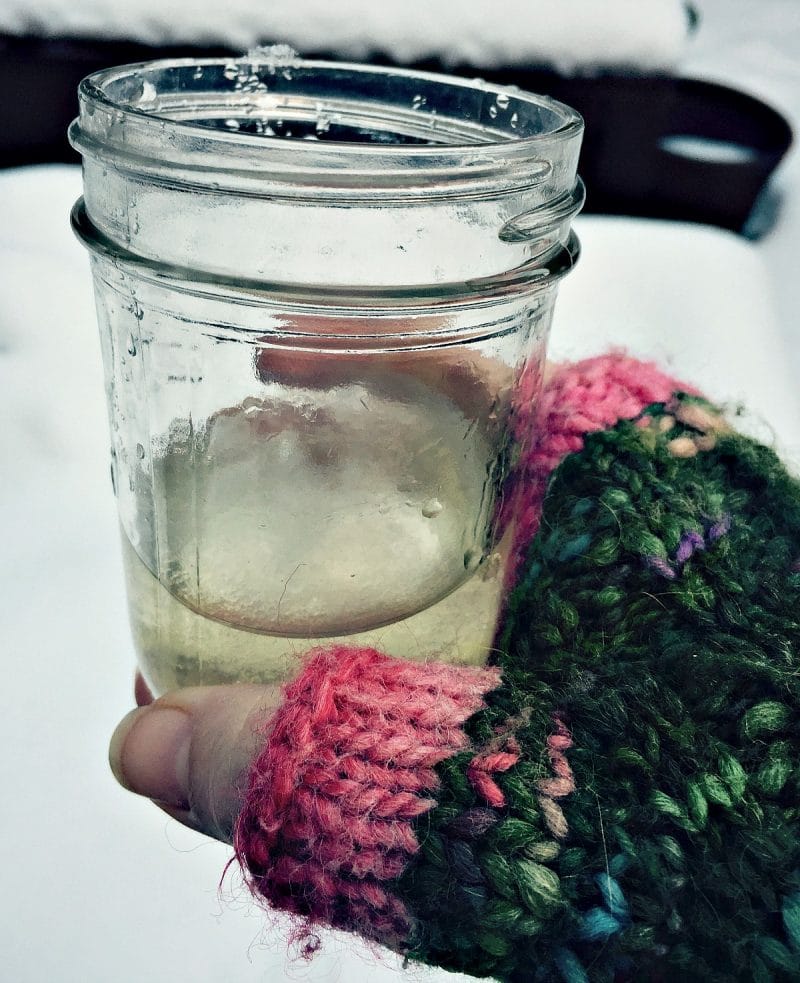 a hand holding a glass of winter infused gin