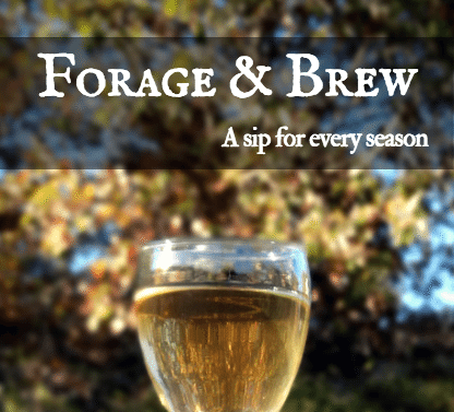 forageandbrew