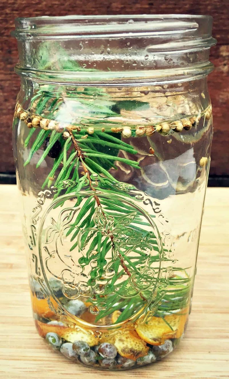herbs and botanicals in a jar with vodka