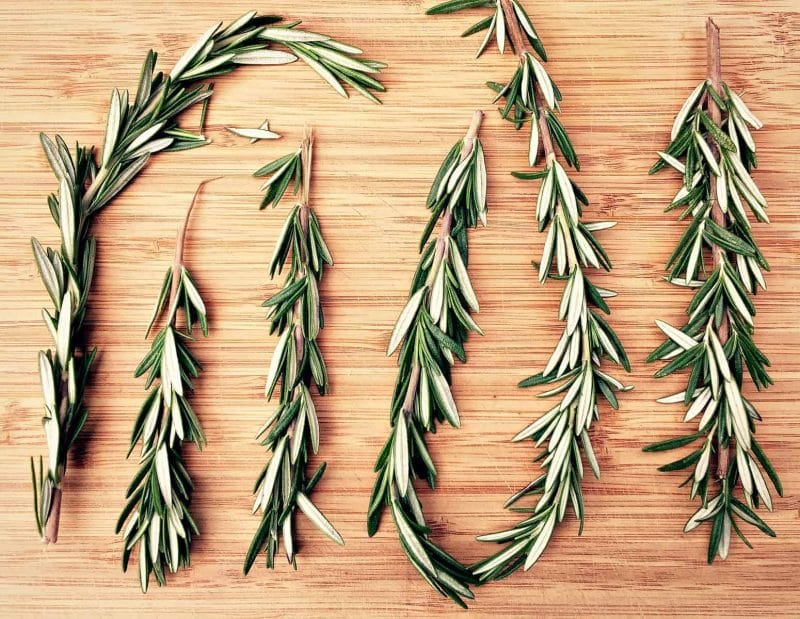 sprigs of homegrown rosemary on a cutting board