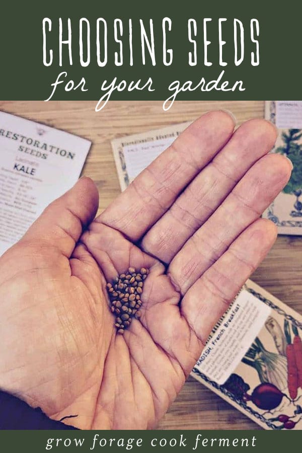 A woman holding garden seeds in her hand.
