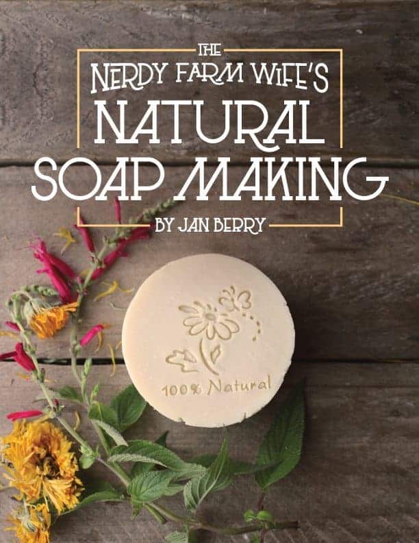 natural soap making ebook