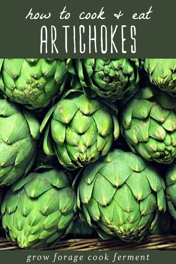 Fresh artichokes for an article on how to cook and eat artichokes.