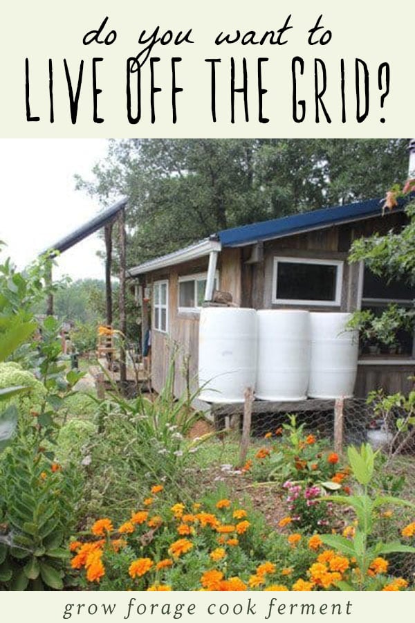 An image of an off grid tiny house with rain water collection barrels outside.