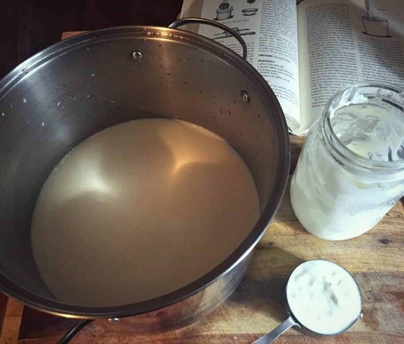 a spoonful of kefir to add to the milk