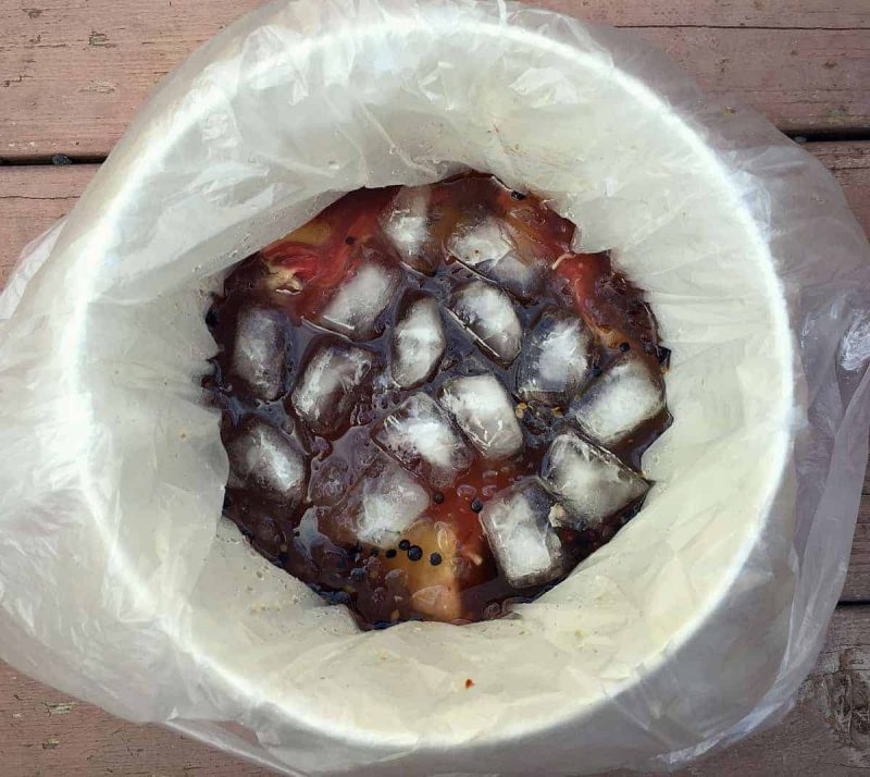 brine brisket in a bucket with ice