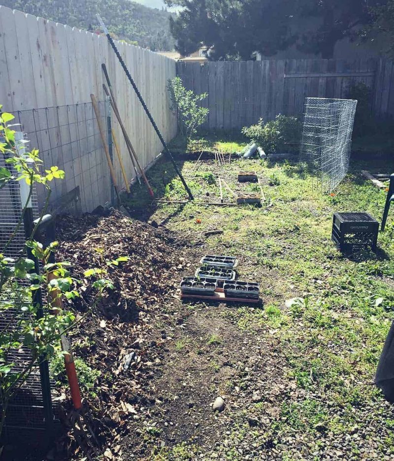 compost and chicken run