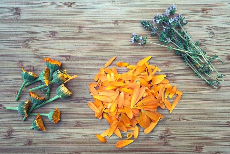 calendula and thyme