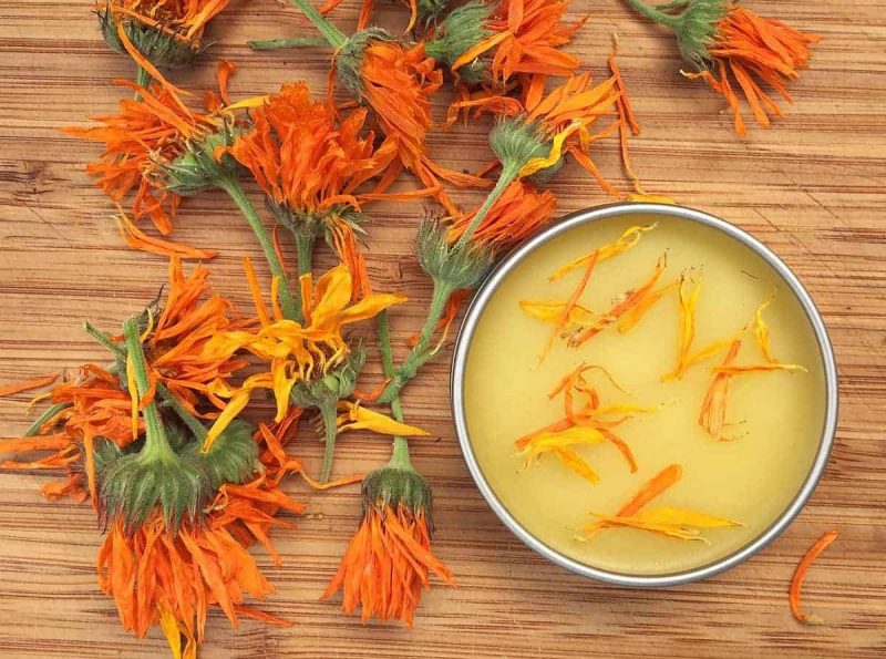 calendula salve on a board with dried calendula flowers