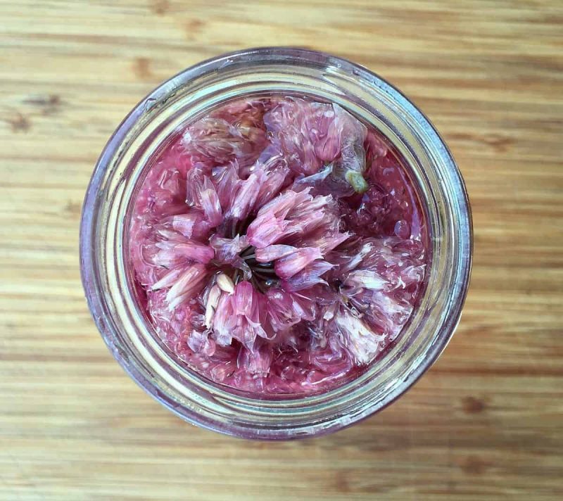 chive blossom vinegar