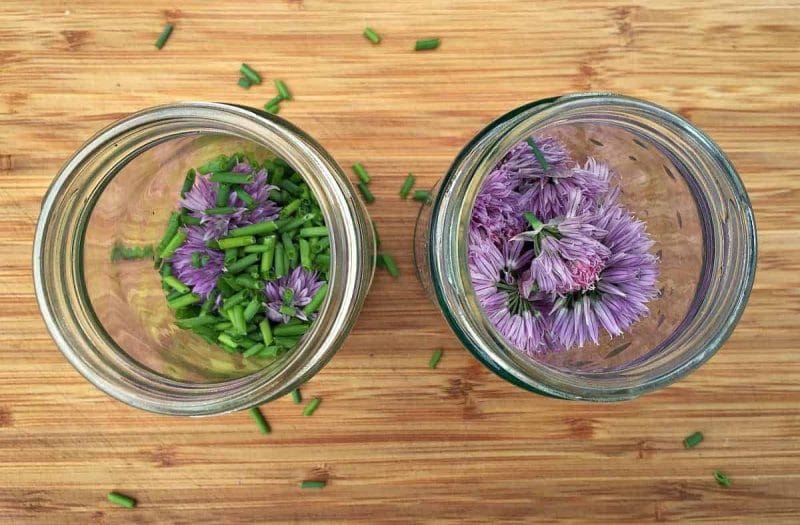 chives in jars