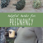 An array of useful herbs during pregnancy, and a pregnant woman holding a mug of herbal tea.