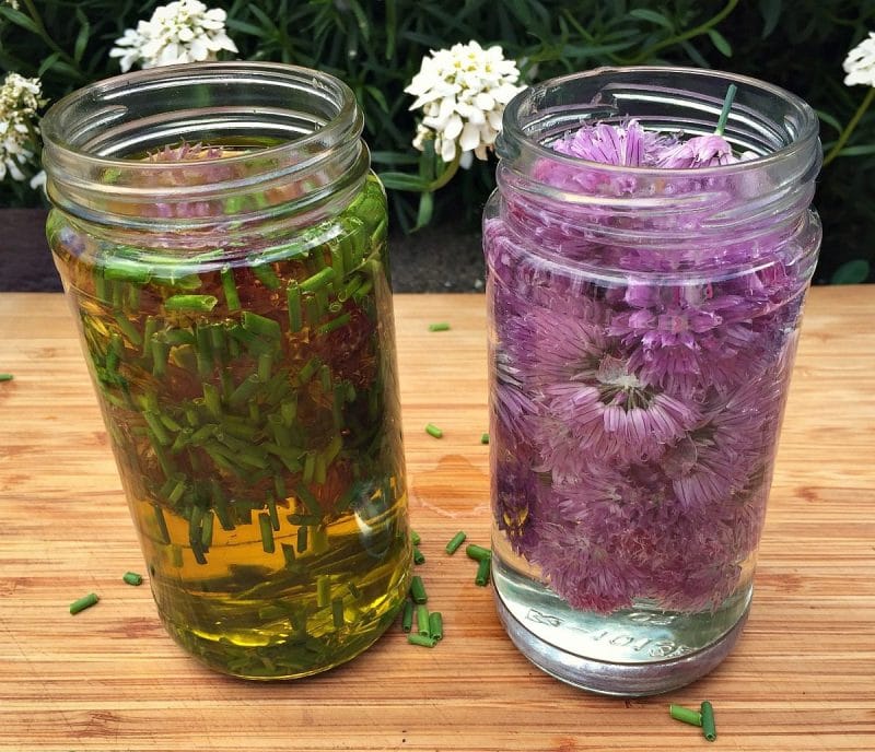 start chive oil and vinegar