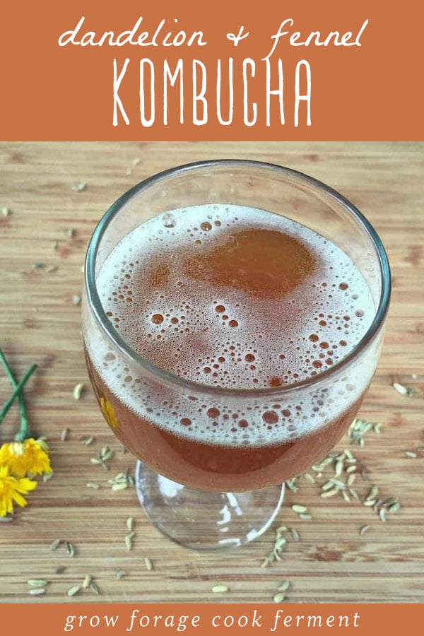 A glass of dandelion and fennel kombucha.