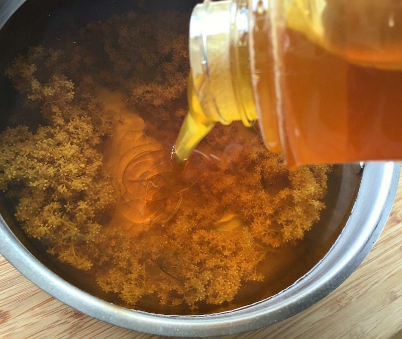 adding honey to the elderflower tea