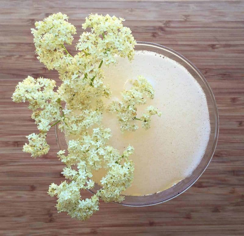 elderflower sparkling mead in a glass