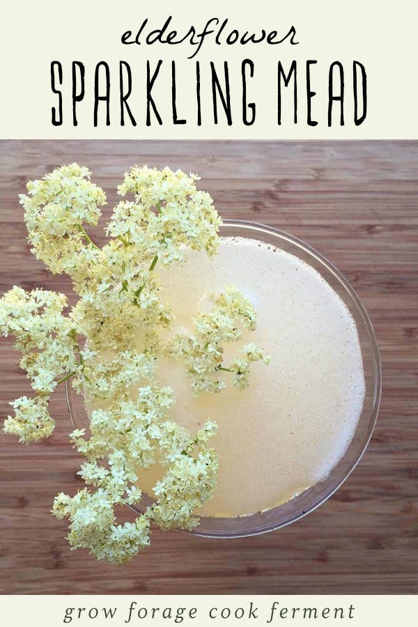 A glass of elderflower sparkling mead.