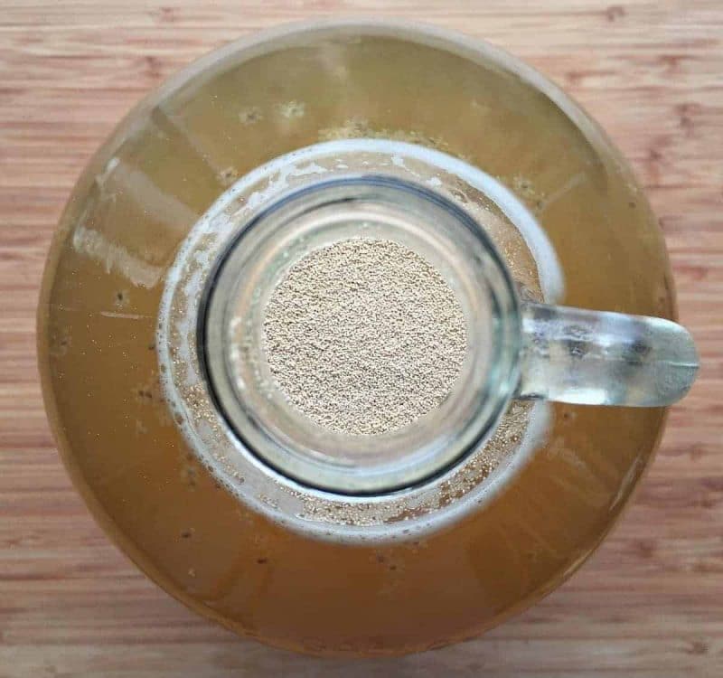 pitch yeast in the mead jug
